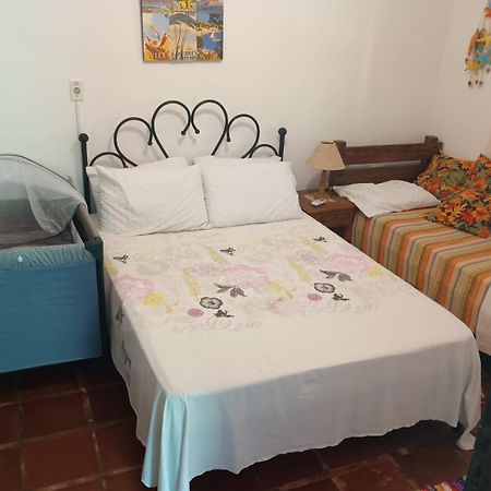 Casa No Morro - Charme Em Meio A Natureza Pertinho Da Praia 3 Dormitorios ساو سيباستياو المظهر الخارجي الصورة
